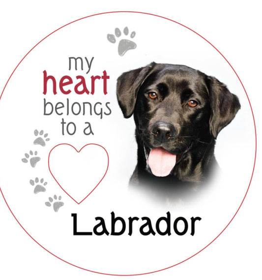 Labrador