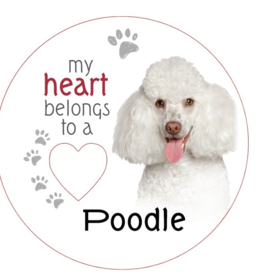 Poodle