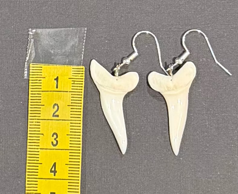 A pair of silver-tone fishhook earrings with off-white shark tooth charms, displayed next to a yellow measuring tape on a dark gray background.
