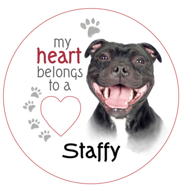 Staffy