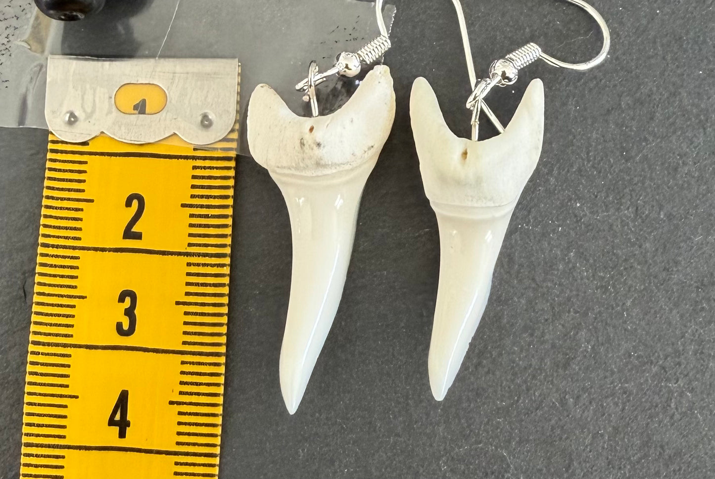 Real Mako Shark Teeth Earrings - No 14