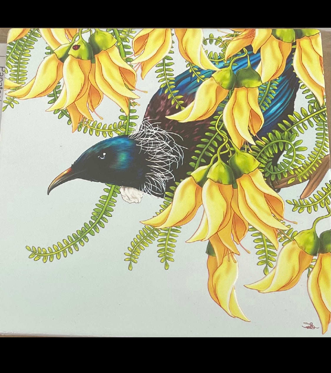 Square - Tui on Kōwhai Tree Ceramic Wall Art plus a card to match