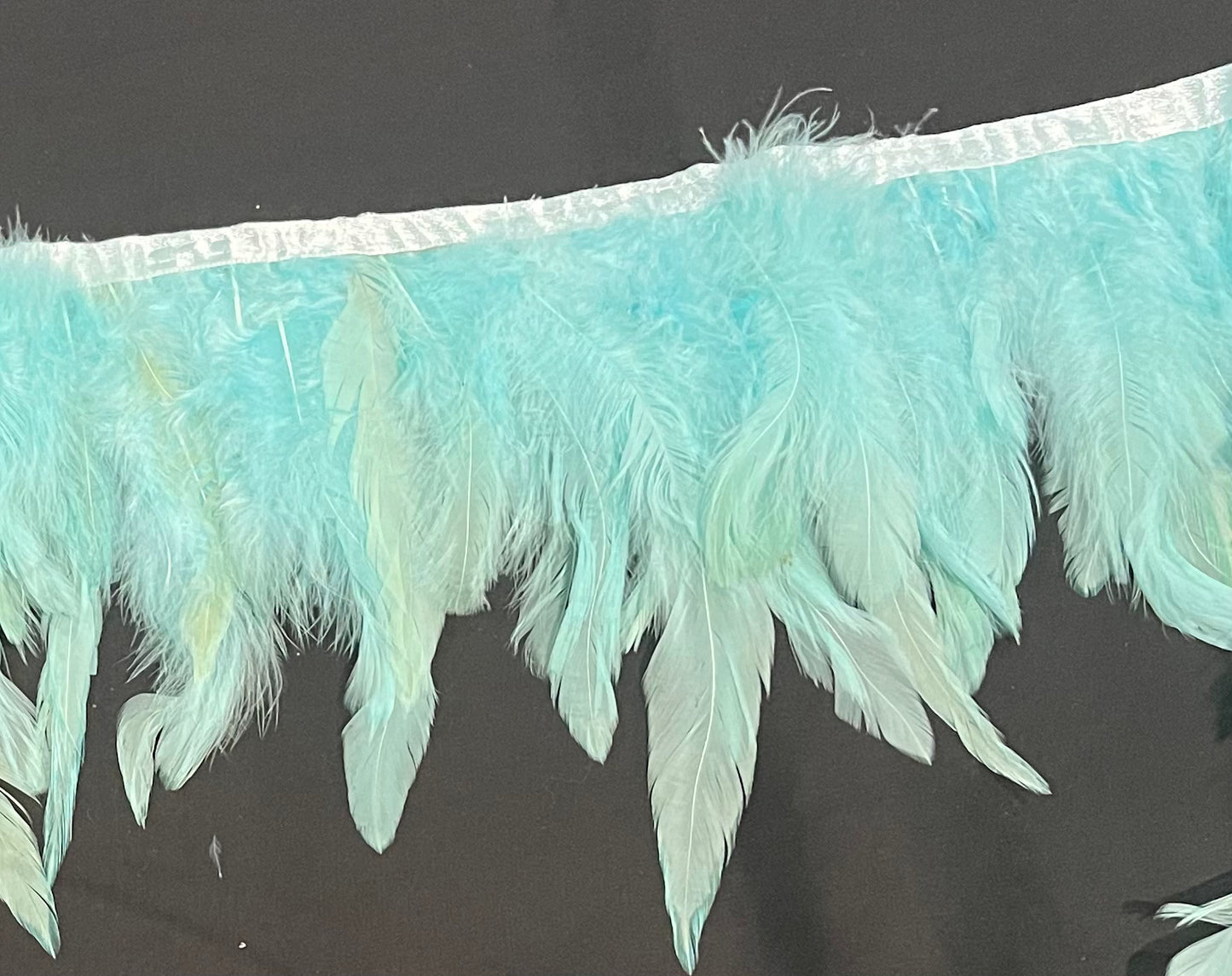Aqua Coque Feathers