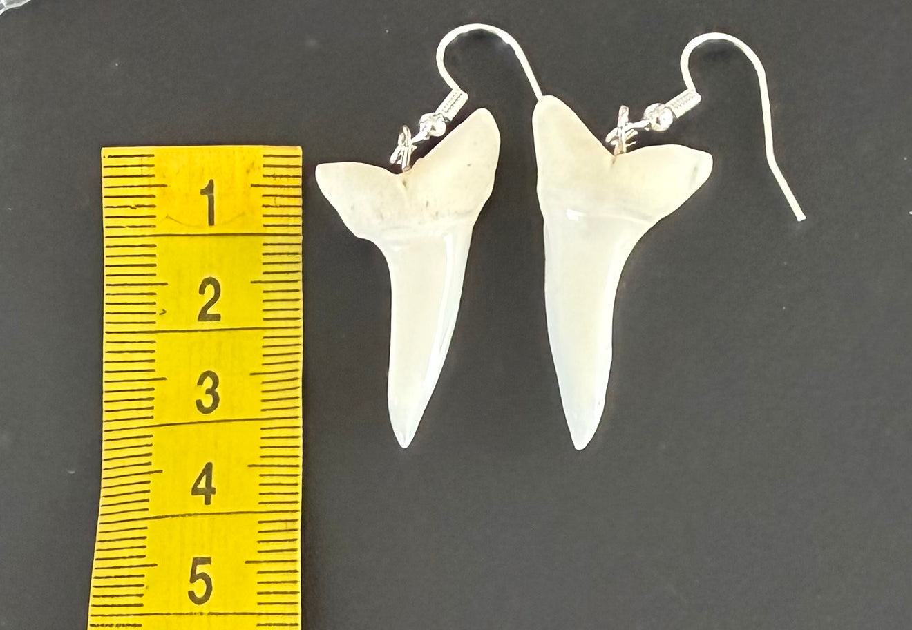 Real Mako Shark Teeth Earrings - No 14
