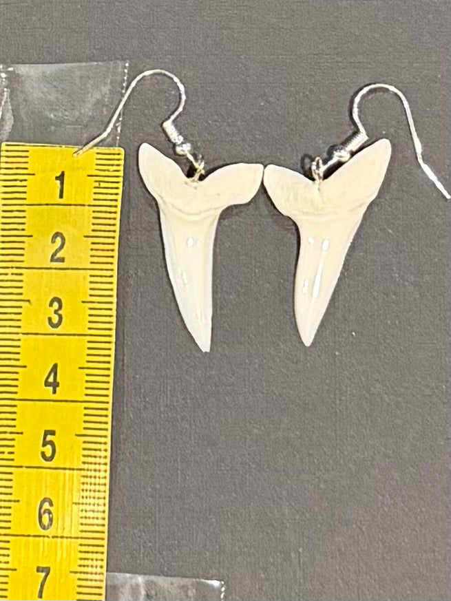 Real Mako Shark Teeth Earrings - No 4