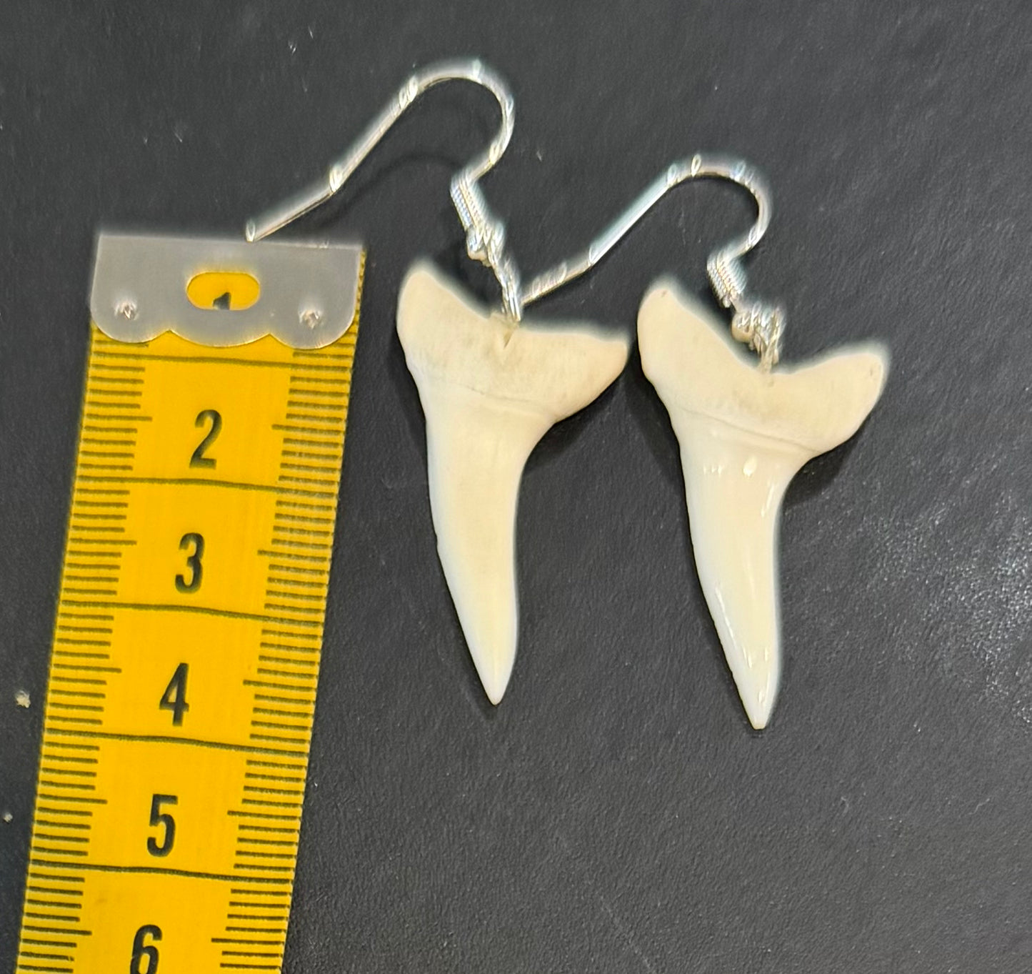 Real Mako Shark Teeth Earrings - No 4
