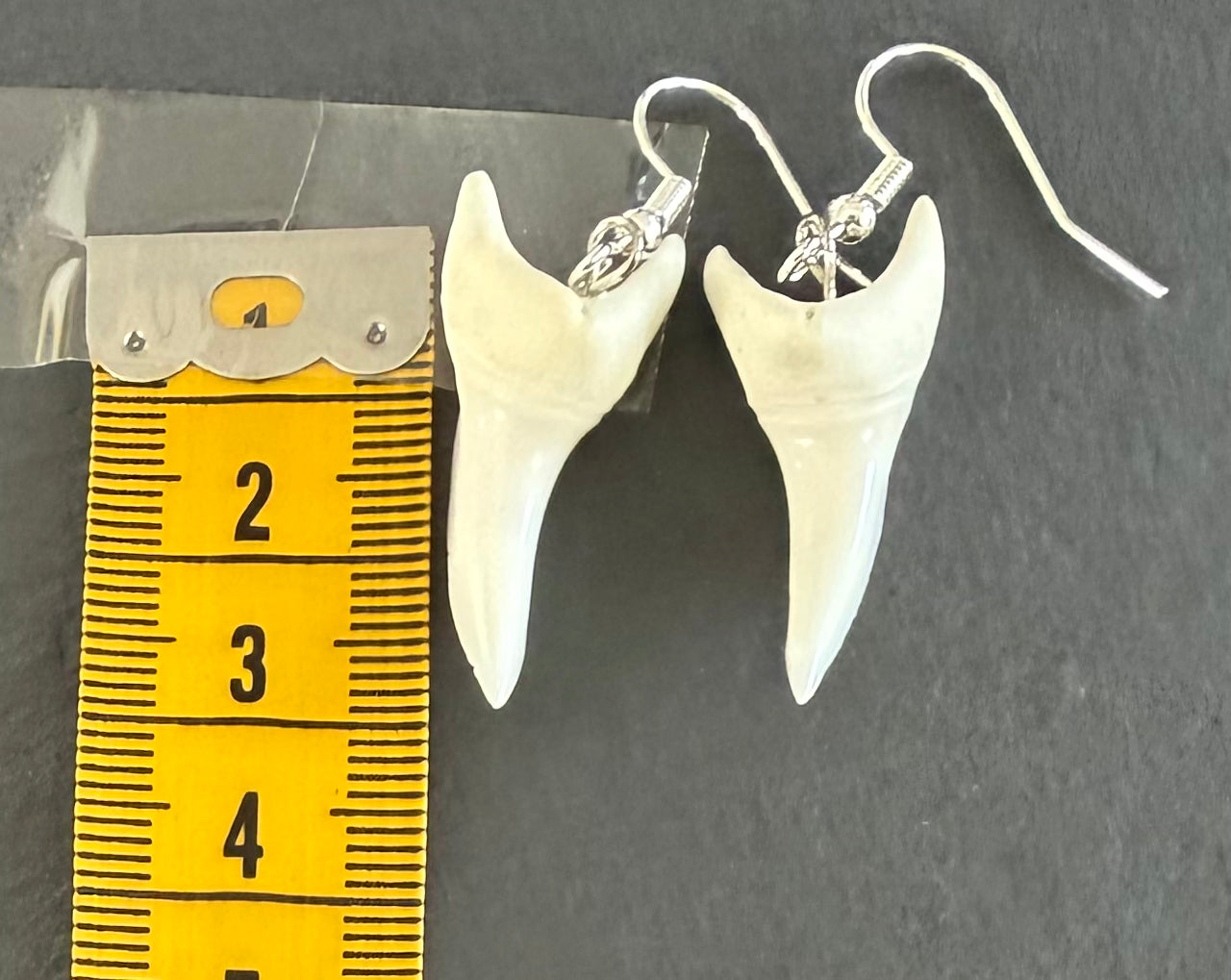 Real Mako Shark Teeth Earrings - No 23