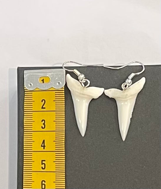 Real Mako Shark Teeth Earrings - No 1