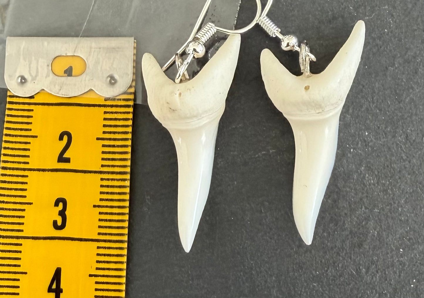 Real Mako Shark Teeth Earrings - No 11