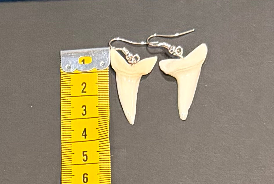Real Mako Shark Teeth Earrings - No 21