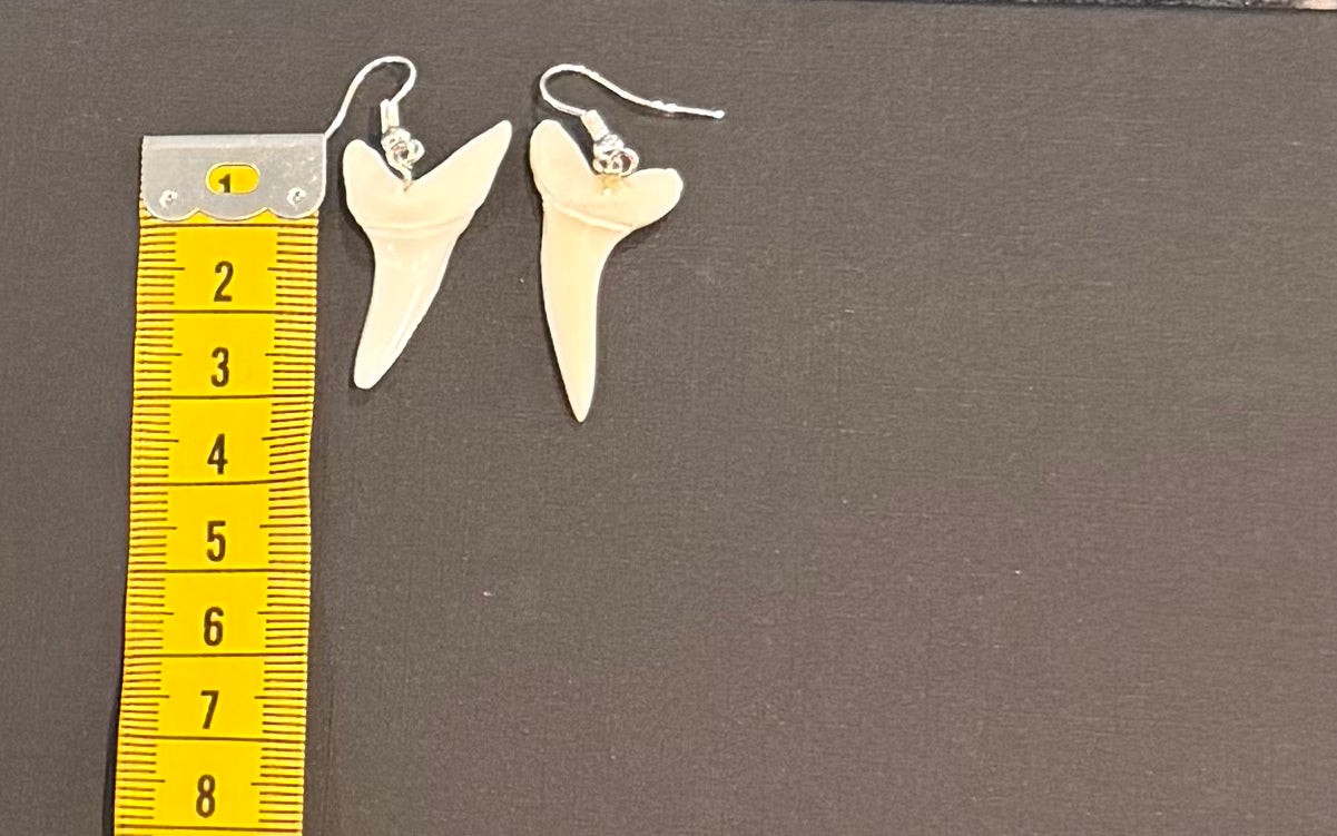 Real Mako Shark Teeth Earrings - No 1