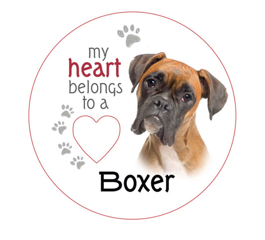 Boxer