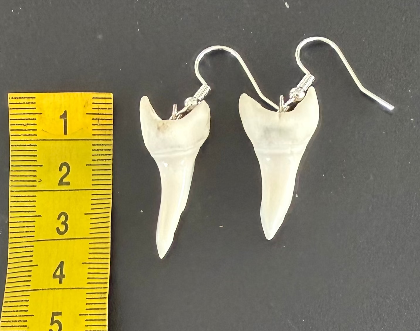 A pair of silver-tone fishhook earrings shaped like white teeth, displayed next to a yellow measuring tape on a dark gray background.
