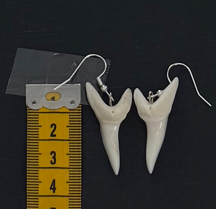Real Mako Shark Teeth Earrings - No 12