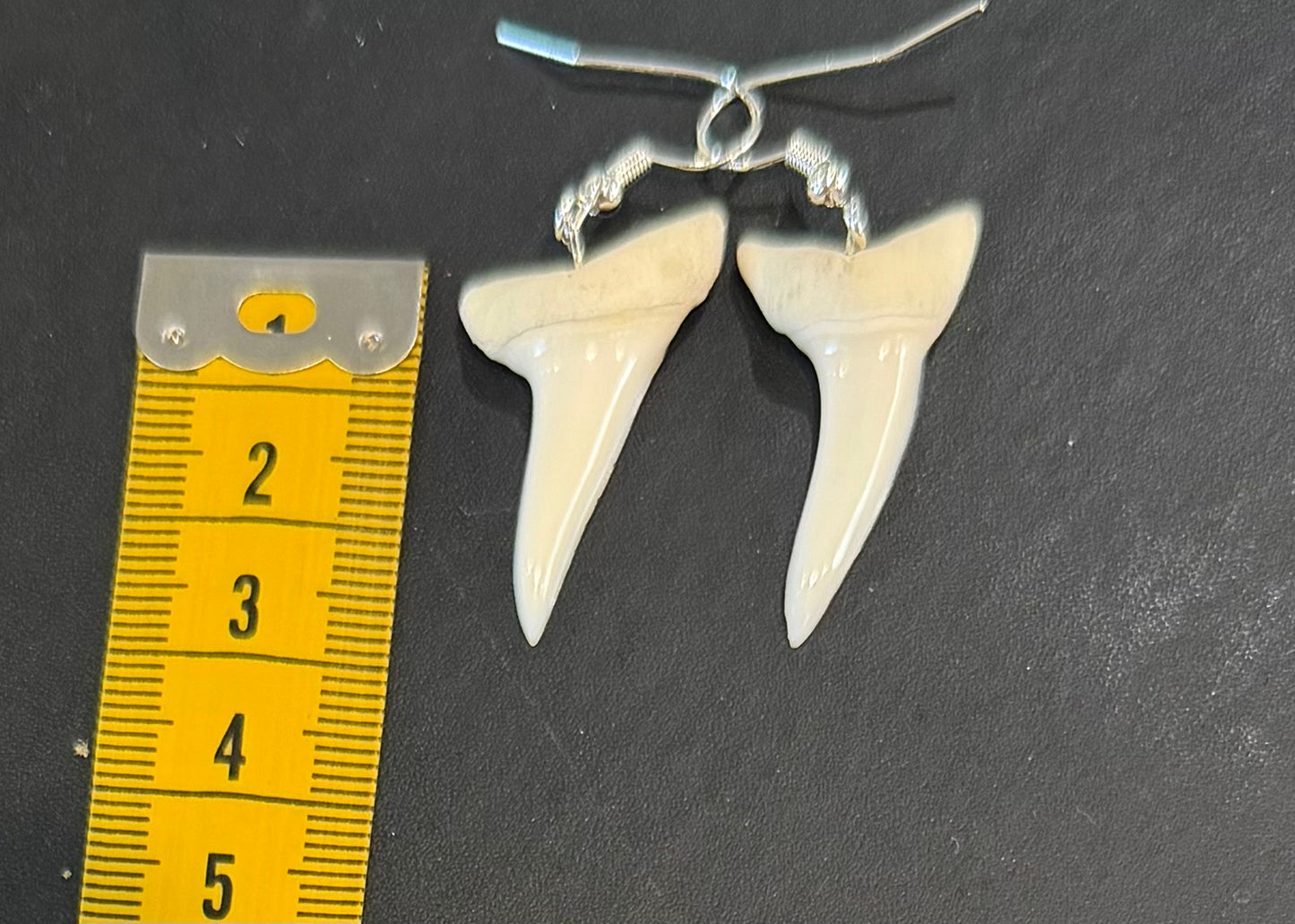 Real Mako Shark Teeth Earrings - No 2