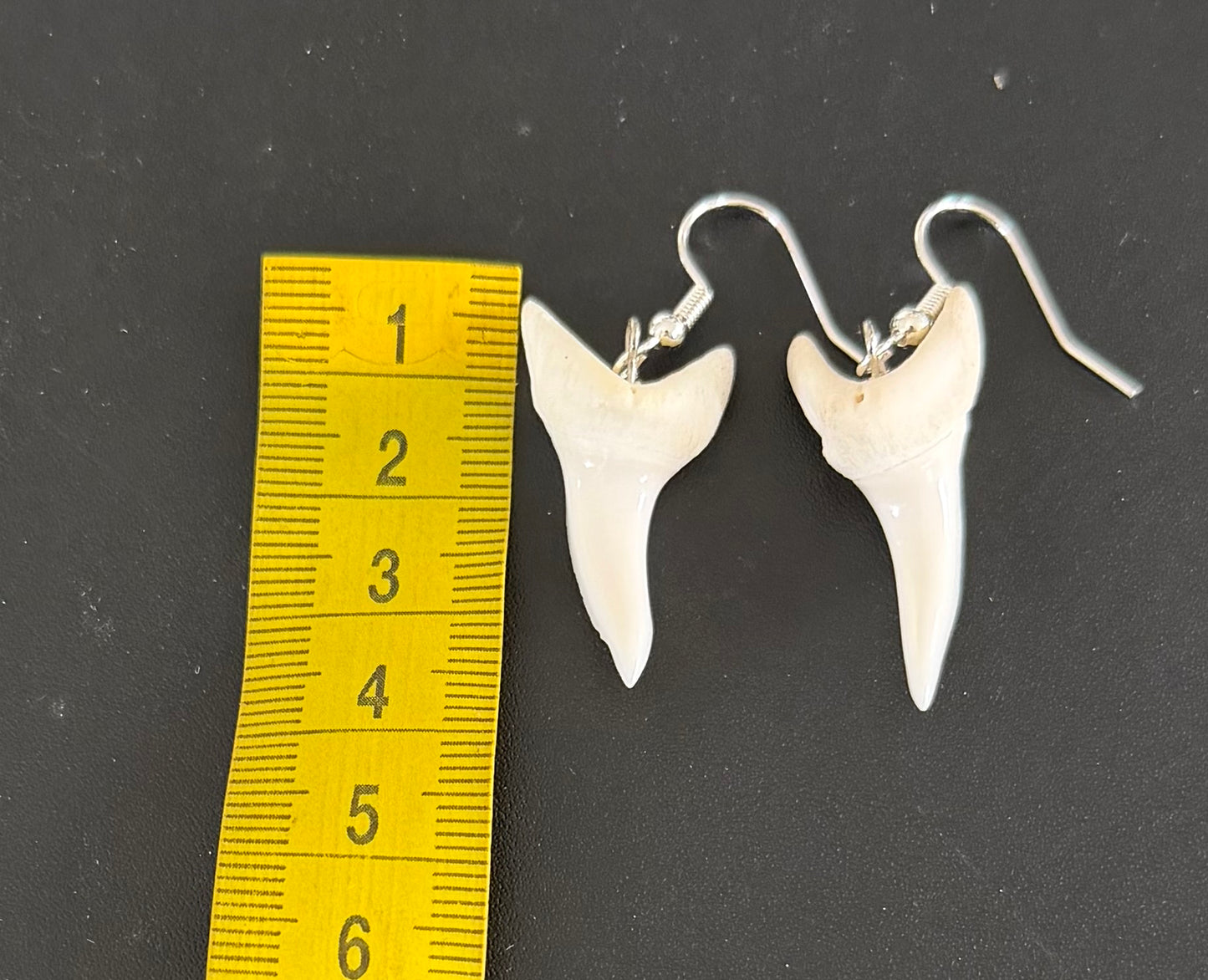 Real Mako Shark Teeth Earrings - No 16