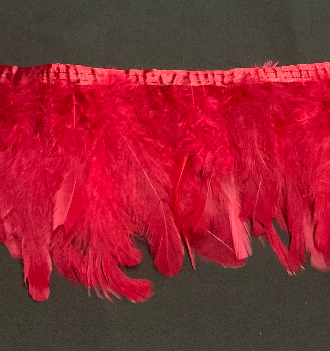 Plain Maroon Coque Feathers