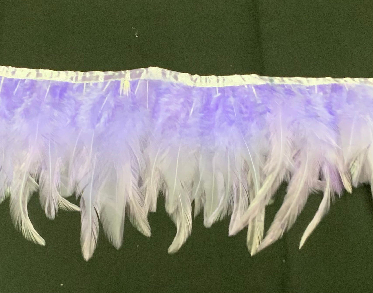 Lilac Hen Feathers
