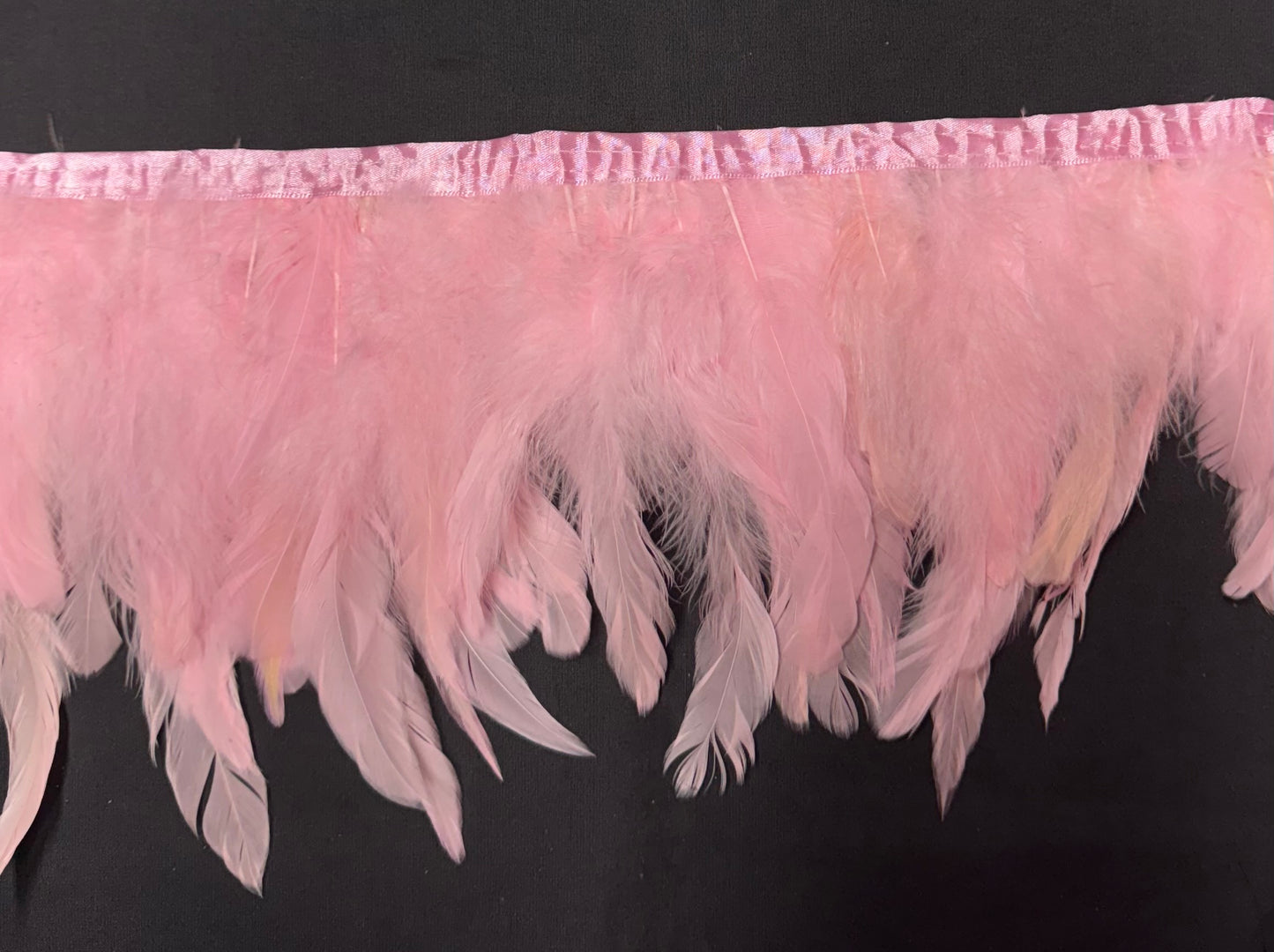 Plain Pale Pink Coque Feathers