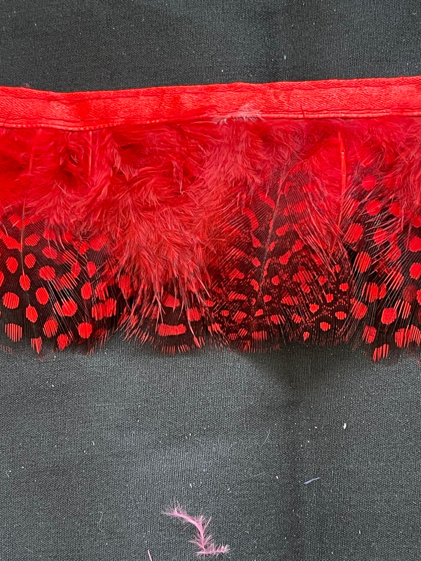 Red Spotted Guinea Fowl Feathers