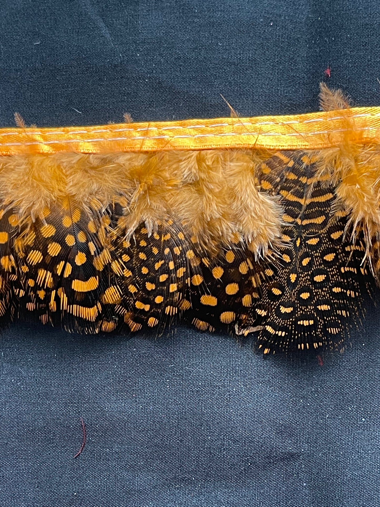 Orange Spotted Guinea Fowl Feathers