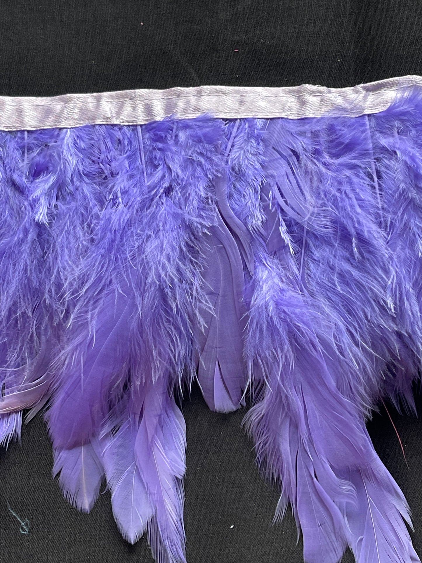 Plain Lilac Coque Feathers