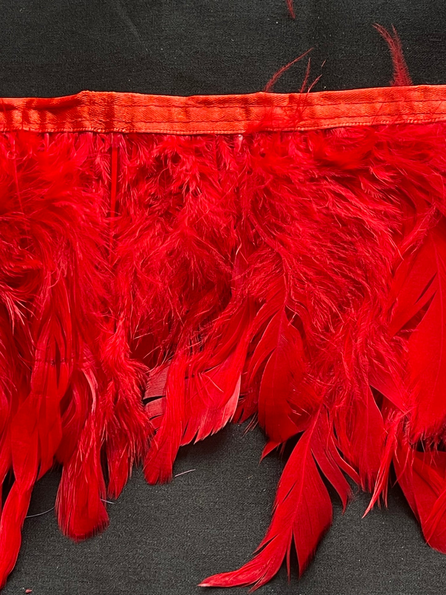 Plain Red Cogue Feathers