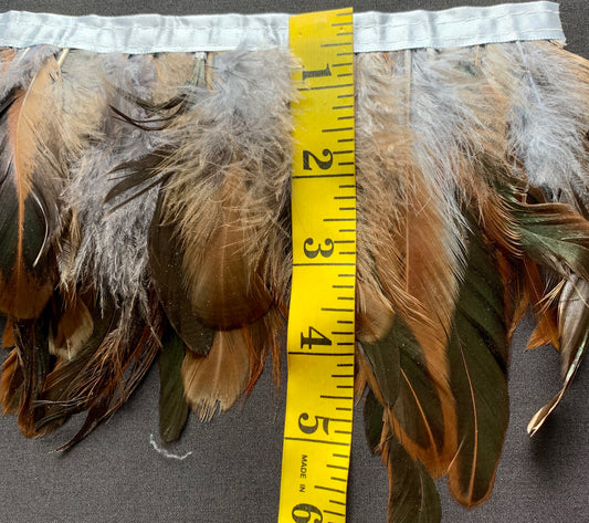 Grey Coque Feathers