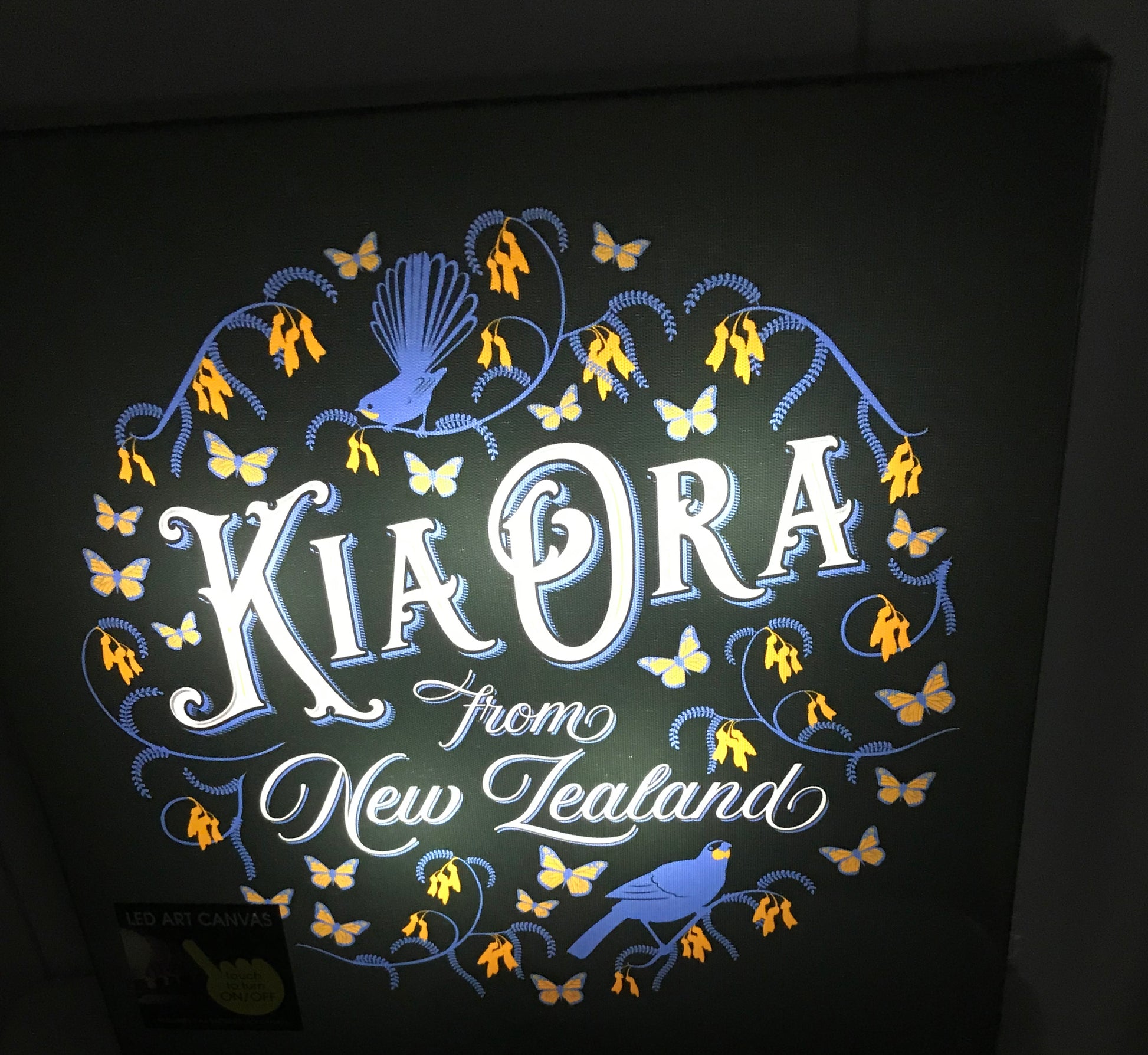 Kia Ora LED Light Canvas-Kia Ora LED Light Canvas - LED Light Lamps - LED Art