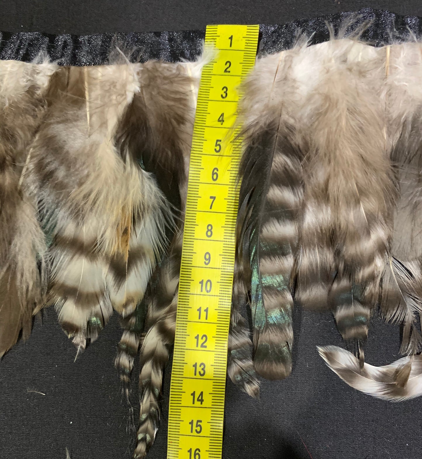 Beige Coque Feathers