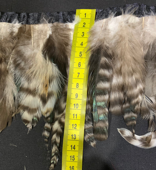 Beige Coque Feathers