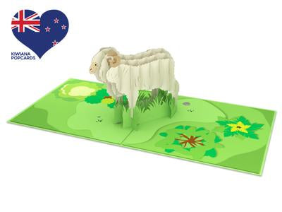 3D - Pop Up Cards