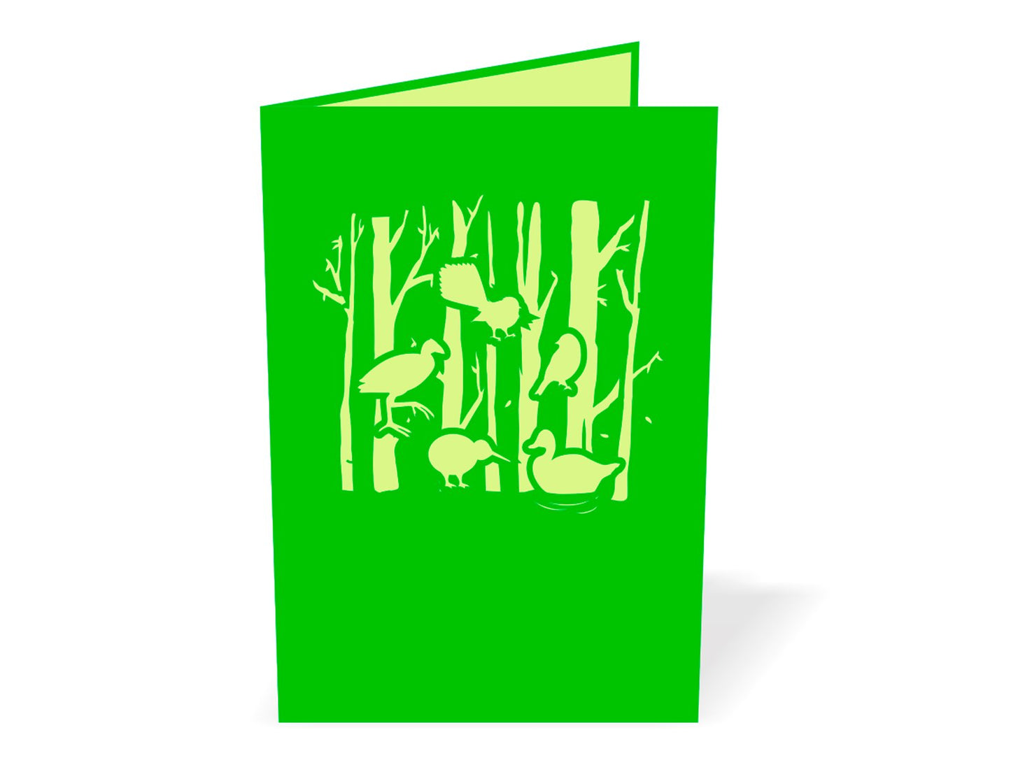 New Zealand Forest with Native Birds 3D - Pop Up Cards