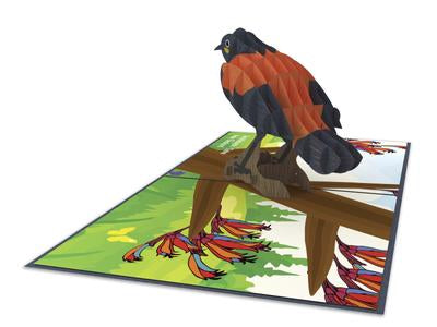 New Zealand Saddleback 3D - Pop Up Cards
