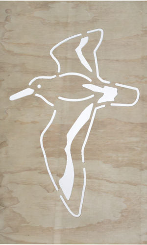 Oyster Catcher Torea - Wood Panels