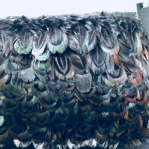 PHEASENT Feathers