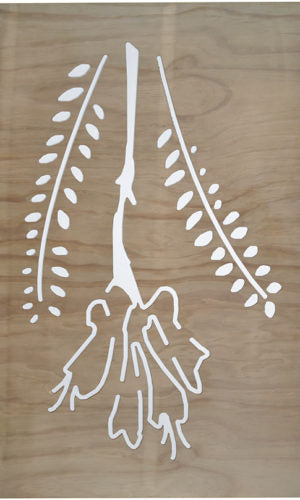 Kowhai - Wood Panels