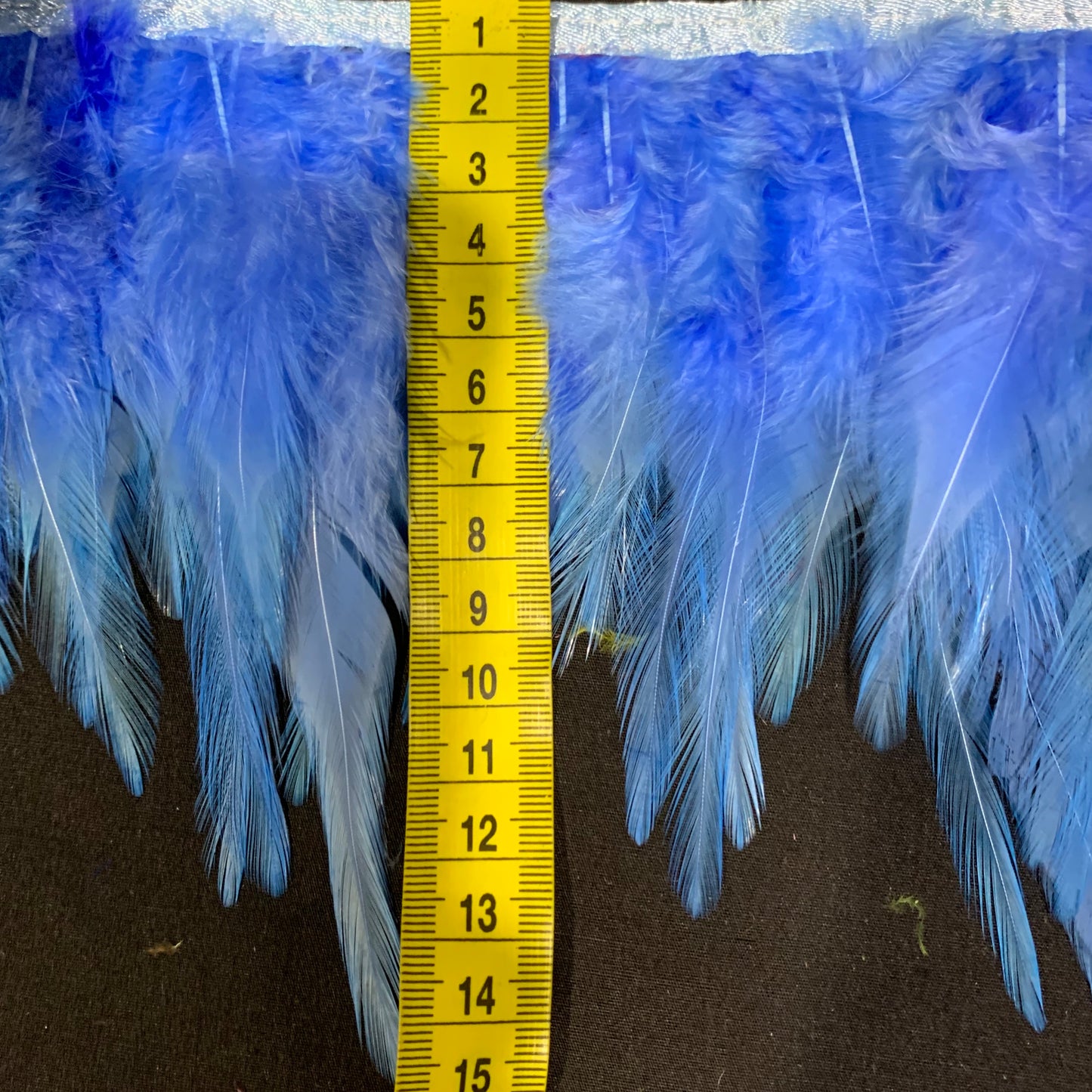 Sky Blue Hen Feathers