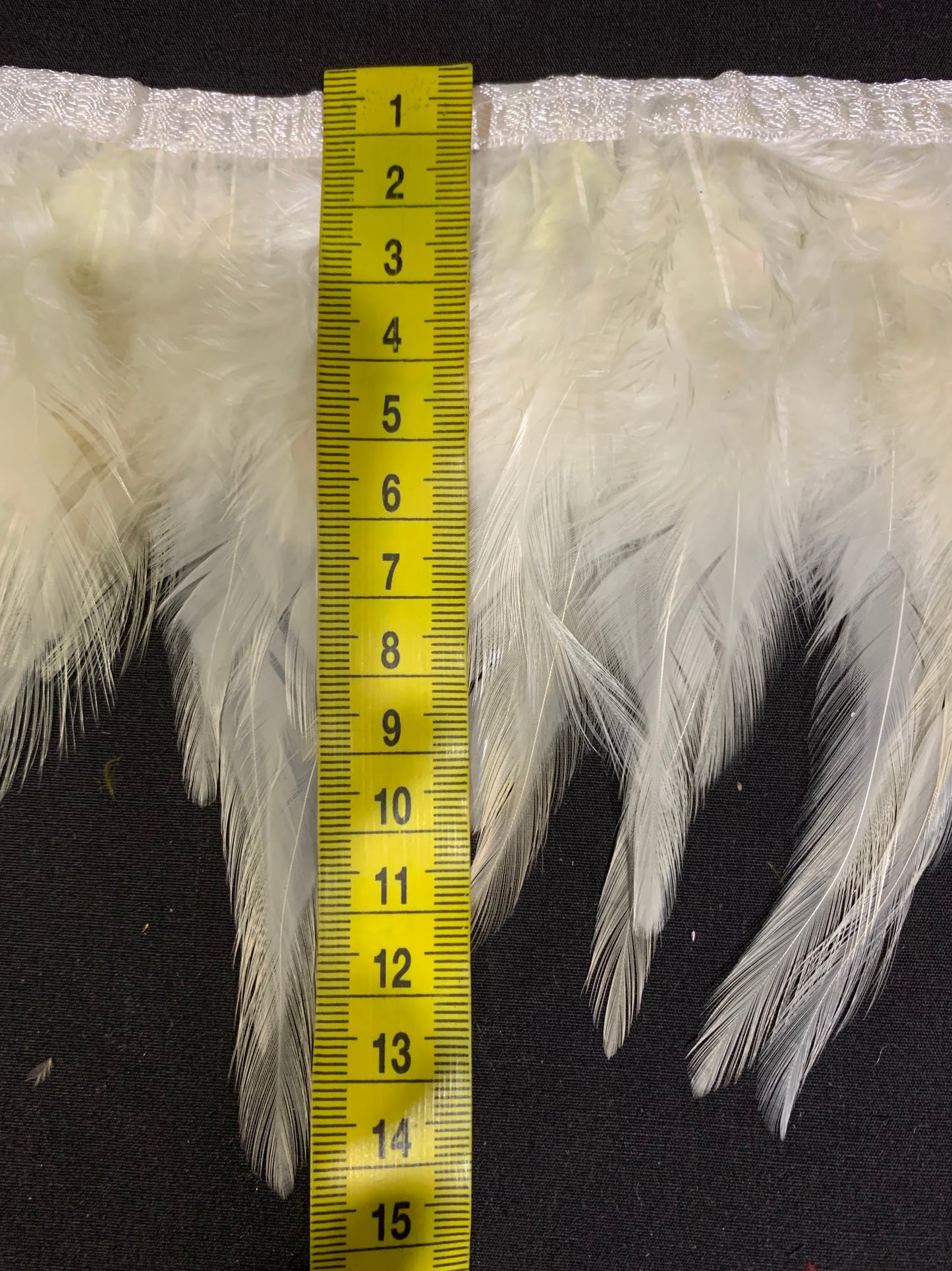 Cream Hen Feathers