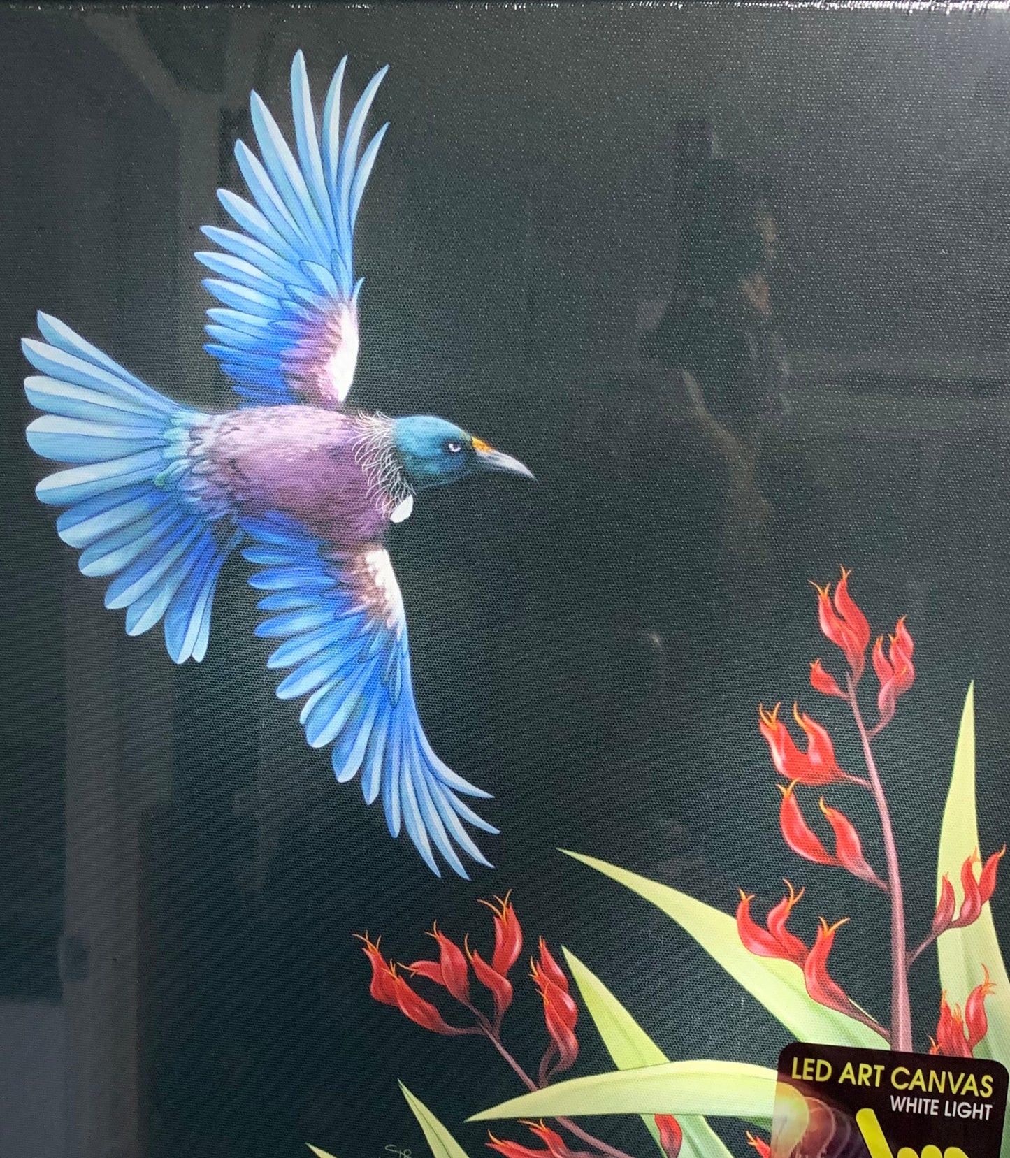 Tui on Flight LED Light Canvas
