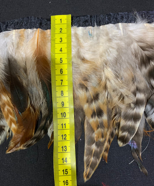 Beige Hen Coque Feathers