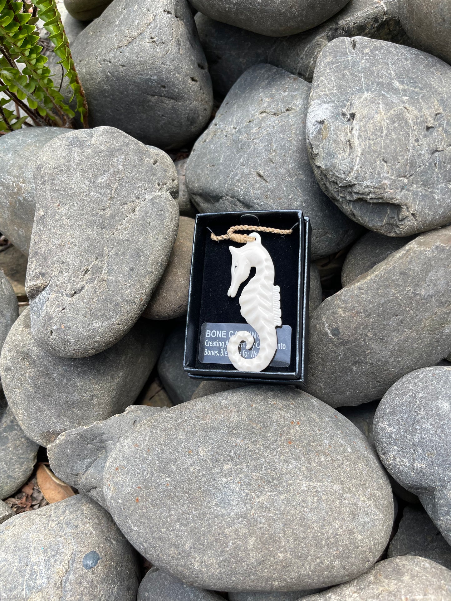 Seahorse Bone Carving