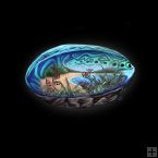Paua LED Light Canvas