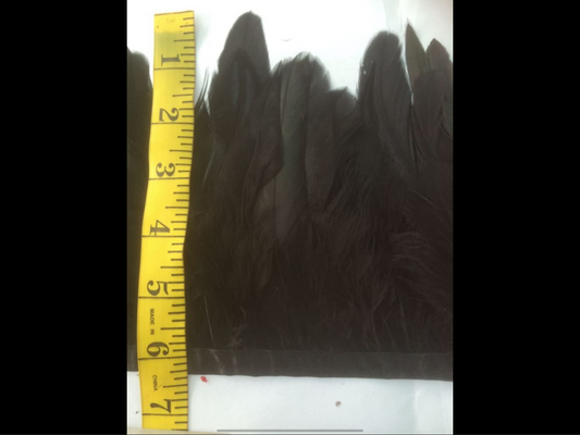 Black Coque Feathers
