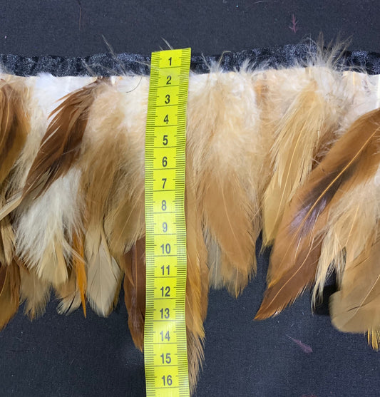 Natural Hen Coque Feathers