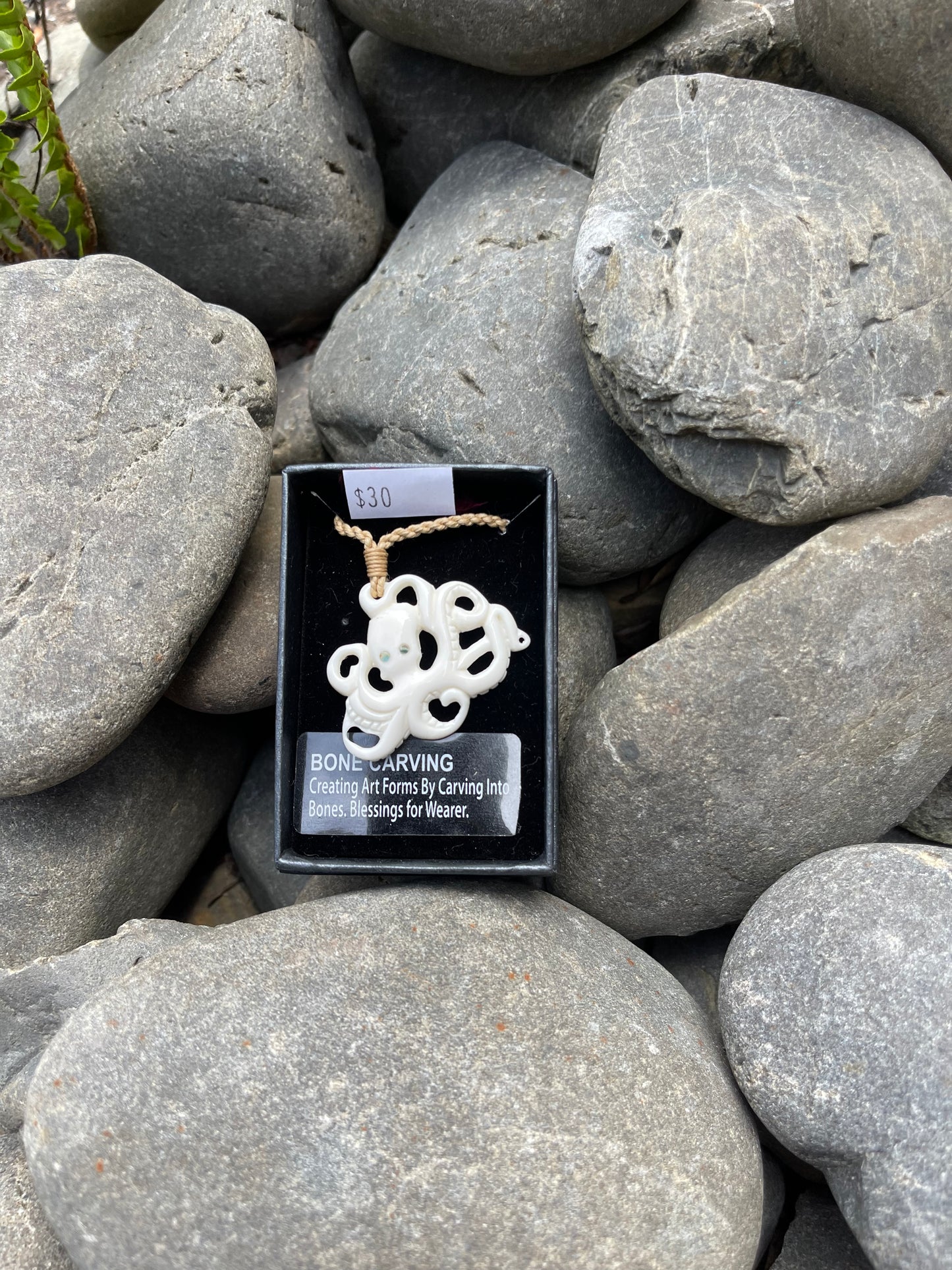 Octopus Bone Carving