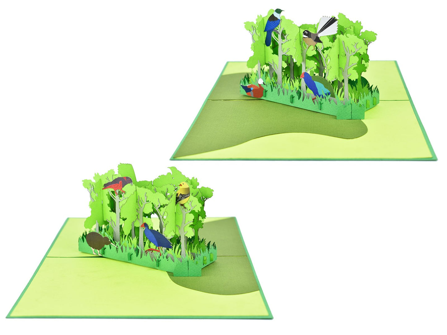 New Zealand Forest with Native Birds 3D - Pop Up Cards