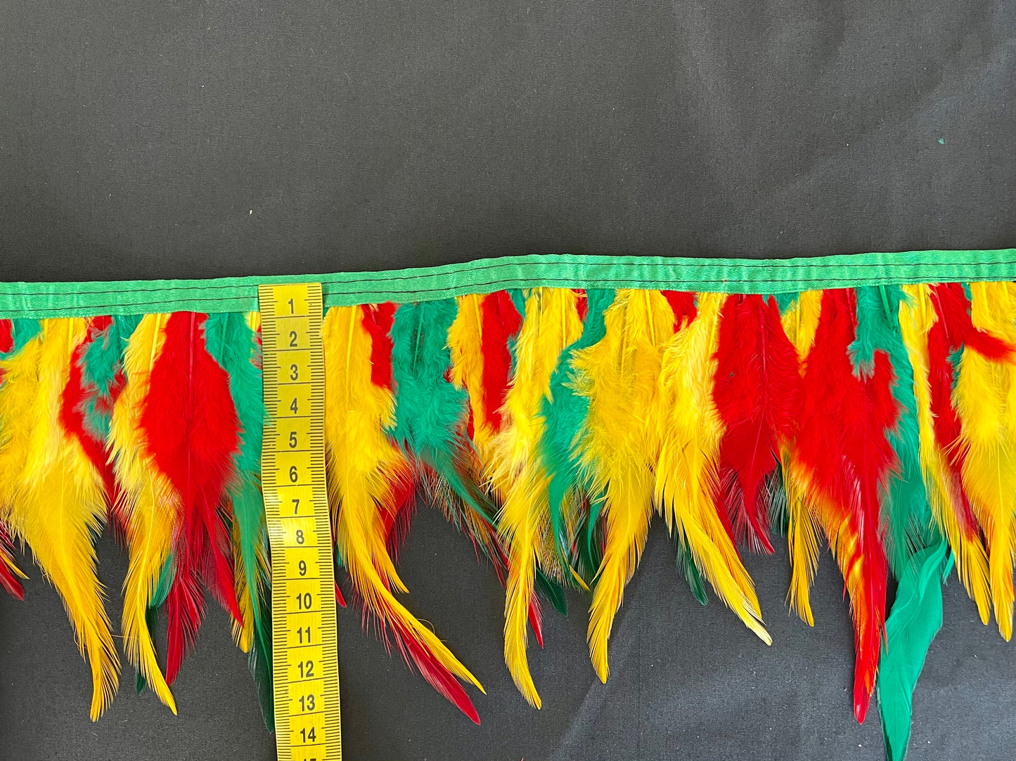 Rasta Hen Feathers