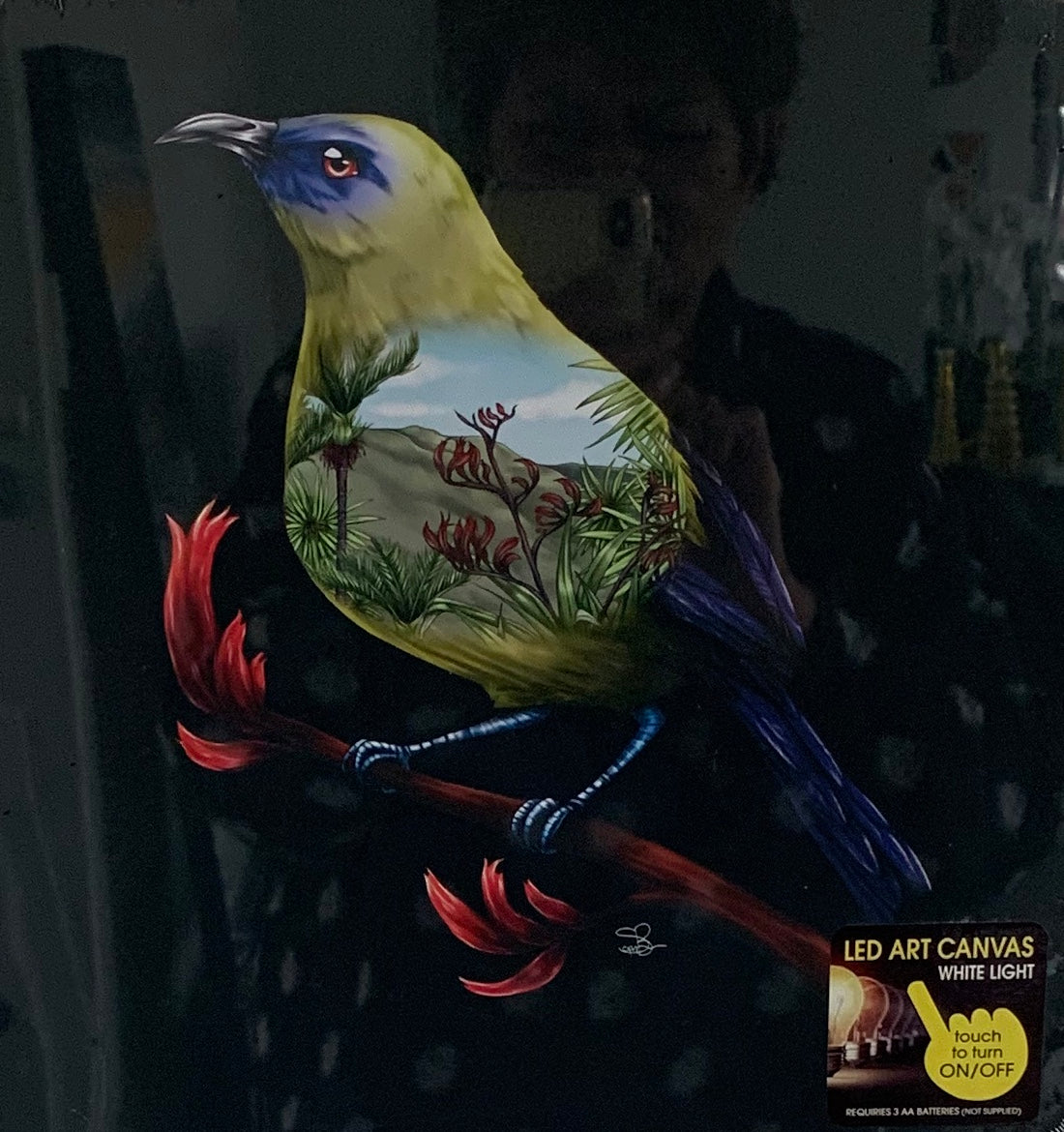 Bellbird LED Light Canvas