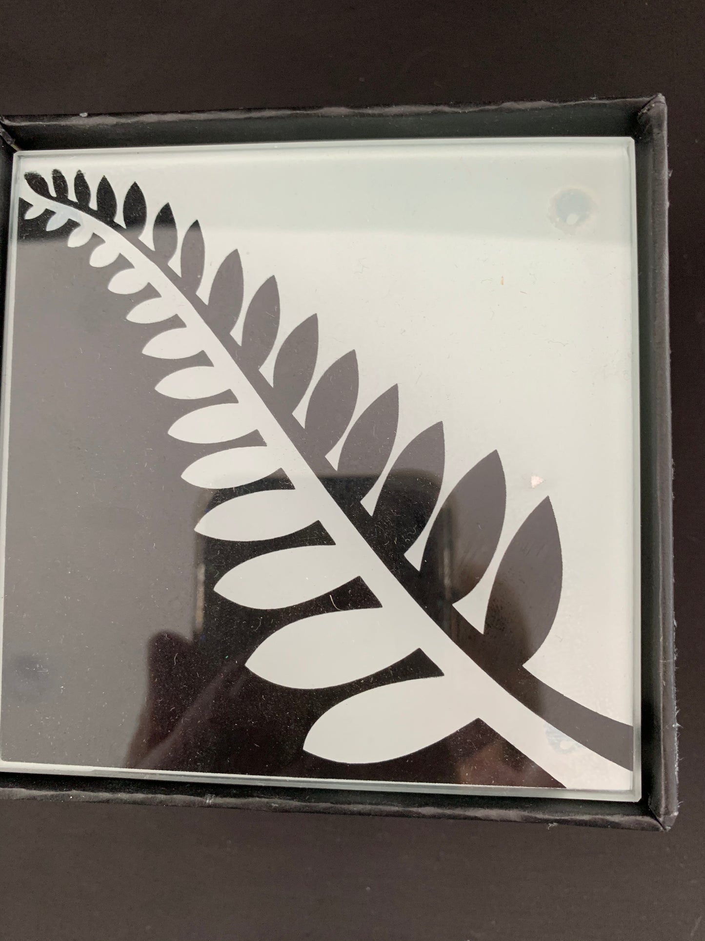 Black and White Fern - Glass Coasters